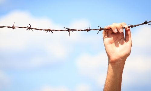 Photo of a hand reaching up to hold onto a wire.