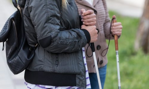 Photo of two people with canes.