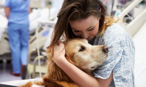 Photo of young woman hugging her guide dog.