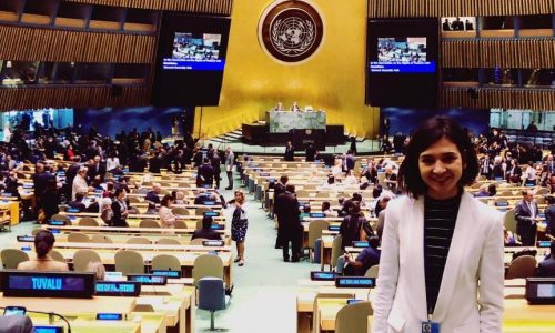 Photo of WWDA staff member, Heidi at COSP12