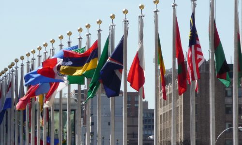 Photo of flags in a line.