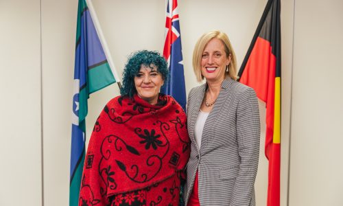 Photo of WWDA CEO Carolyn Frohmader and Minister for Women, Minister Kay Gallagher,